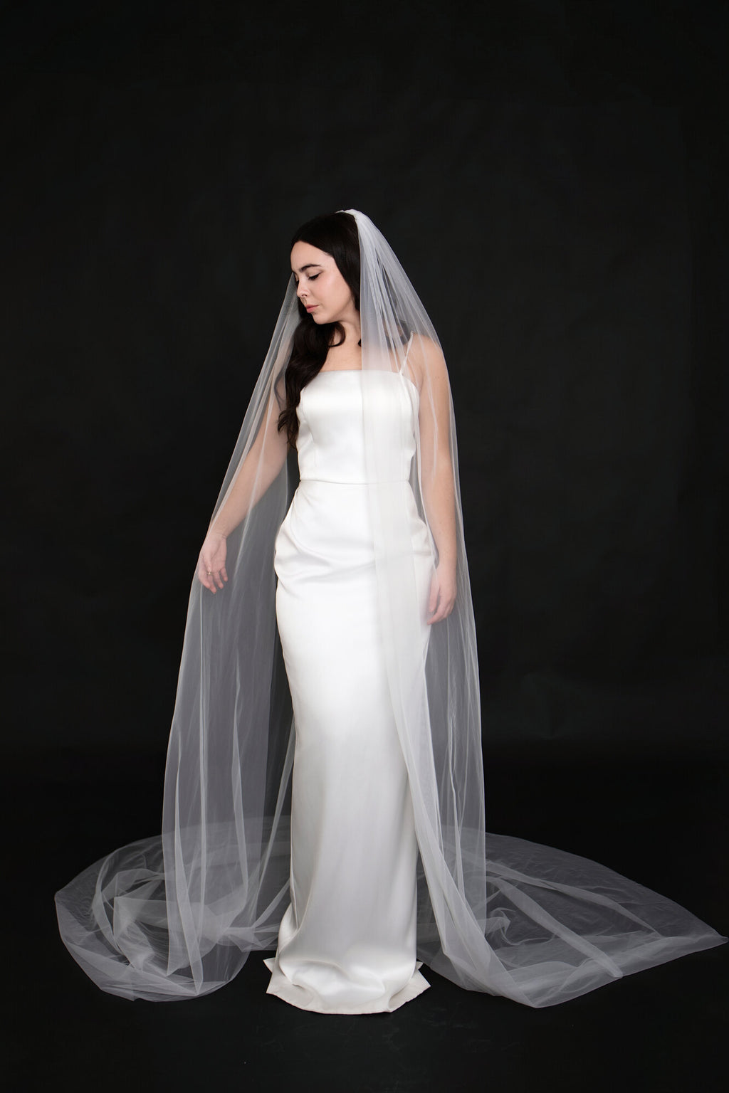 Full length front view of The Barely There cathedral veil in white tulle pooling on the floor beside a strapless satin column gown, on a black backdrop